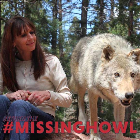 Meet the Posher Other - Meet your Posher, Susan